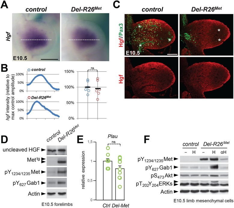 Fig 8