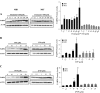 Figure 2A shows an immunoblot of FABP4 and ACTB expressions in the presence of MID and MIT supplemented with Firemaster 550, and a bar graph with standard error plotting changes in FABP4 protein levels (y-axis) in response to treatment with varying concentrations of Firemaster 550 (micromolar) (x-axis). Figure 2B shows an immunoblot of FABP4 and ACTB expressions in the presence of MID and MIT in response to treatment with varying concentrations of TPP, and a bar graph with standard error plotting FABP4 protein levels (y-axis) in response to treatment with varying concentrations of TPP (micromolar) (x-axis). Figure 2C comprises an immunoblot of FABP4 and ACTB expressions in the presence of MID and MIT in response to treatment with varying concentrations of IPTP, and a bar graph with standard error plotting FABP4 protein levels (y-axis) in response to treatment with varying concentrations of (micromolar) (x-axis).