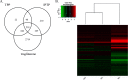 Figure 4A is a Venn diagram with three circles labeled TPP, IPTP, and troglitazone. The three circles intersect each other. Figure 4B is a graphical output of hierarchical cluster analysis.