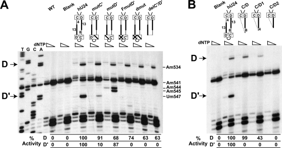 FIG. 2.