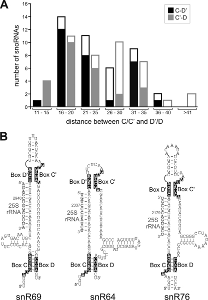 FIG. 7.