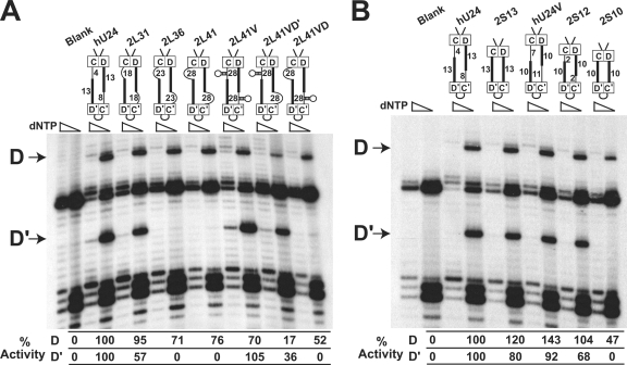 FIG. 4.