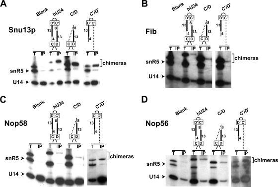 FIG. 6.