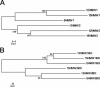 FIG. 7.