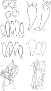 Fig. 2.