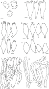 Fig. 8.
