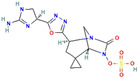 graphic file with name antibiotics-13-00260-i010.jpg