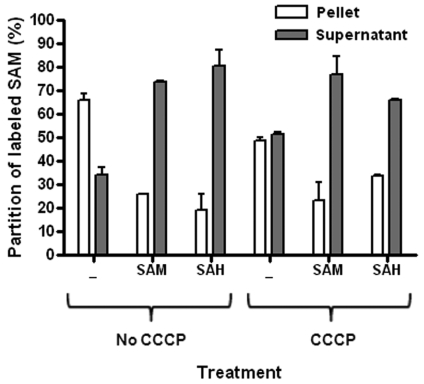 FIG 3 