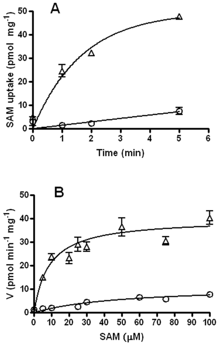 FIG 2 