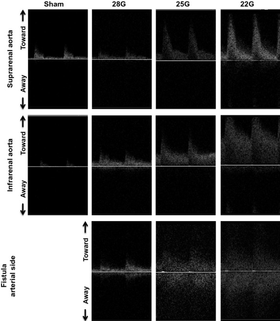 Figure 6