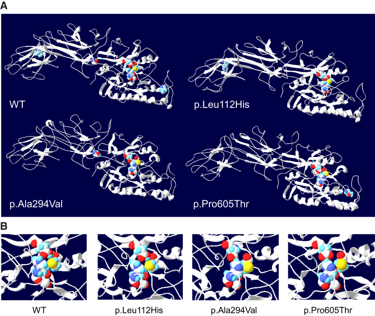 Figure 3