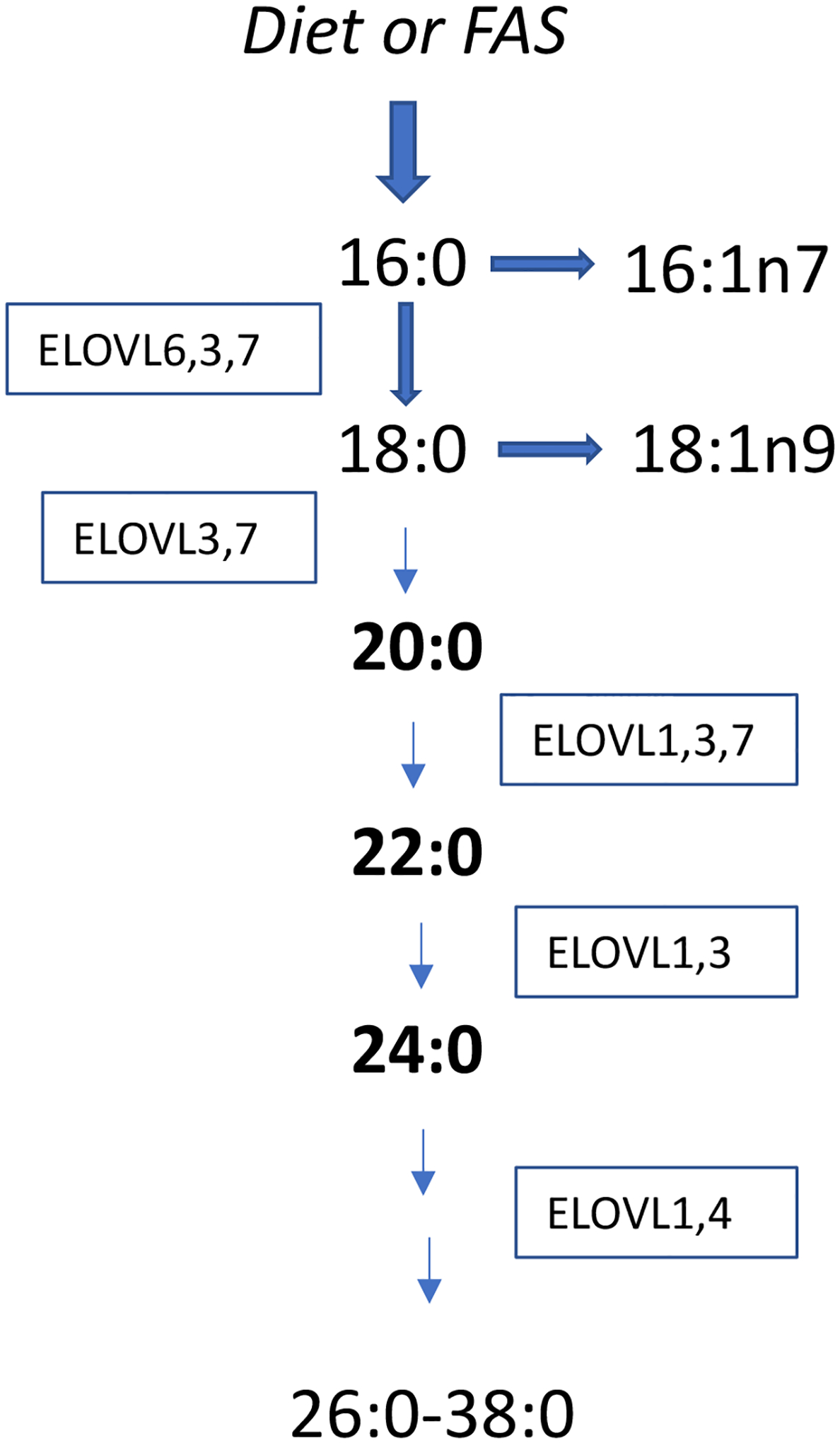 Figure 1: