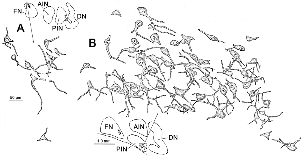 Fig. 12.