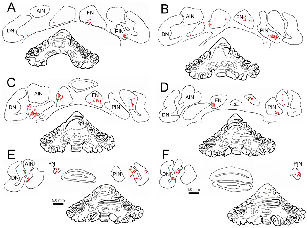 Fig. 11.