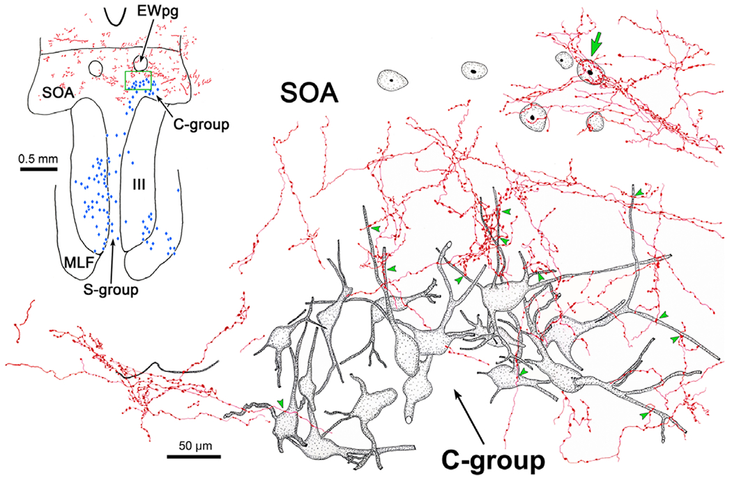 Fig. 2.