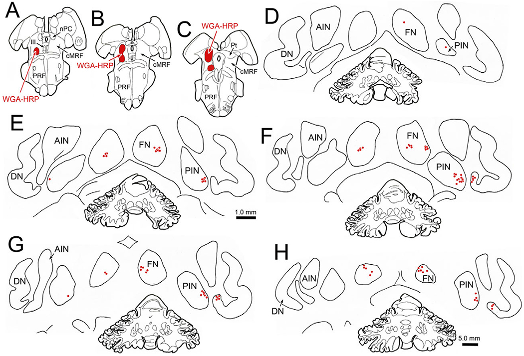 Fig. 13.