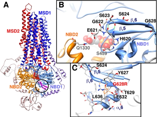 FIGURE 1.