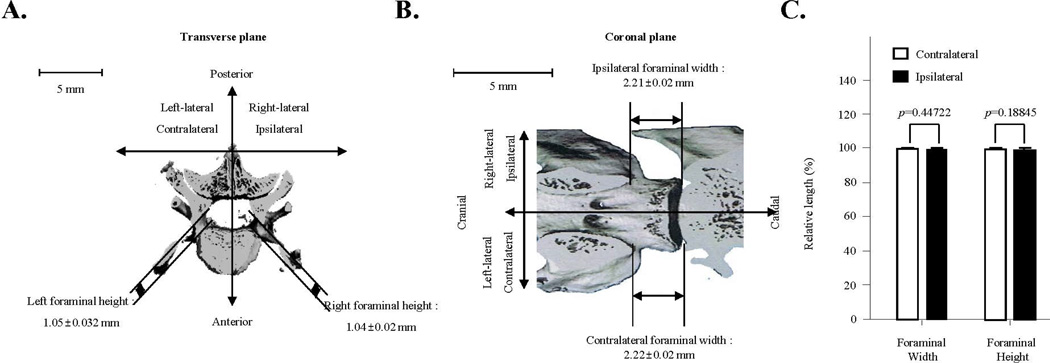 Fig. 5