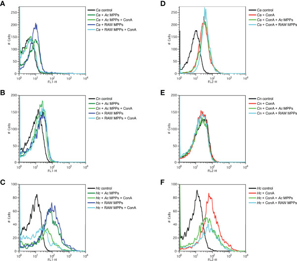 Figure 4