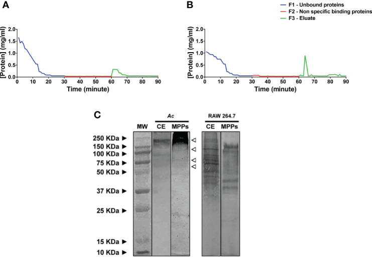 Figure 1