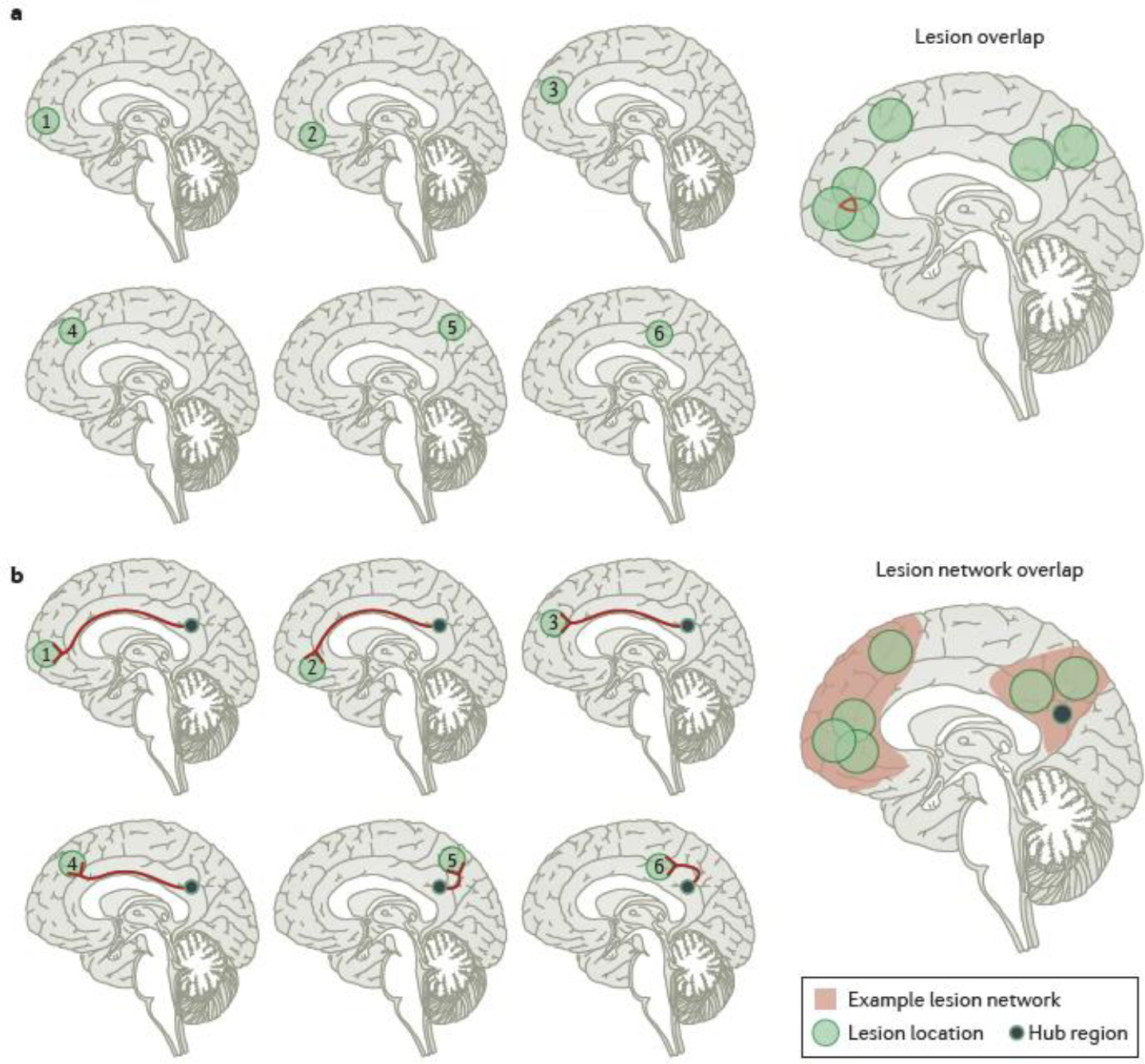 Fig. 3 |