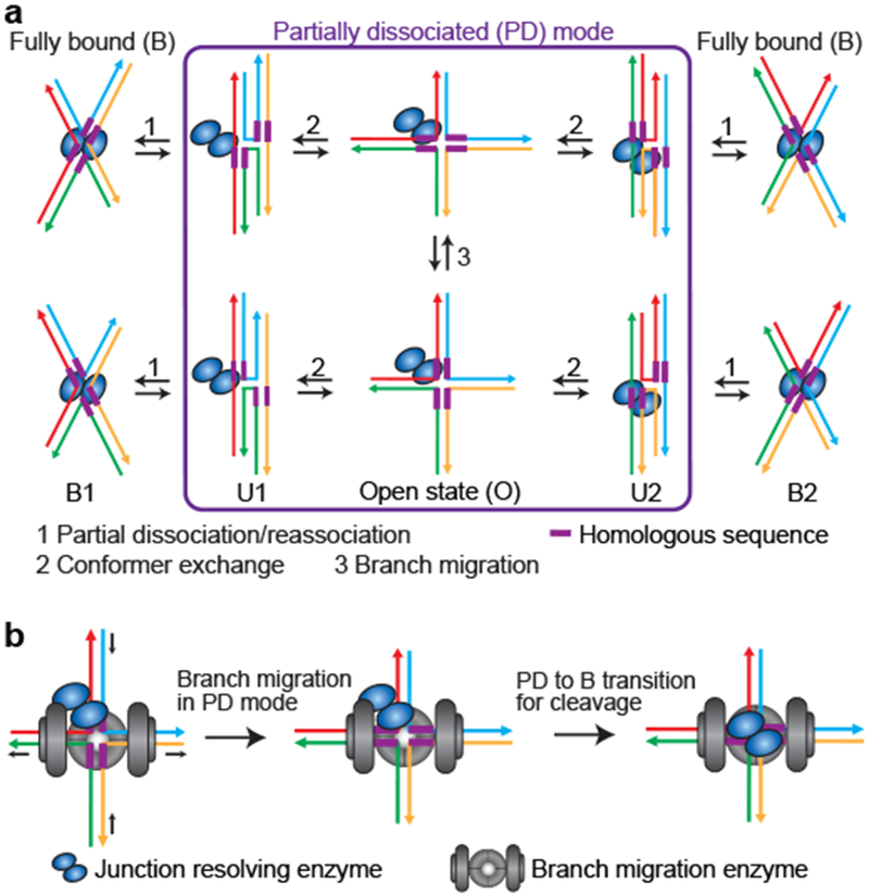 Figure 5: