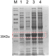 Fig 2