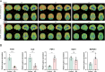 Fig 13