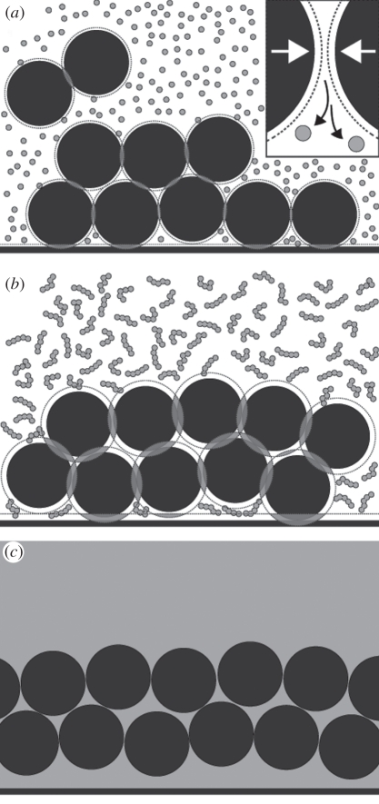 Figure 5.