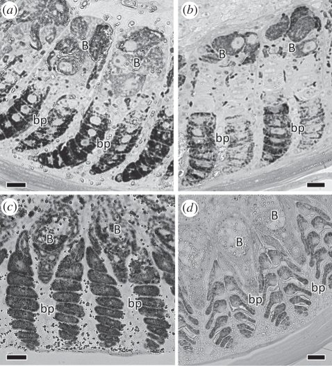 Figure 4.