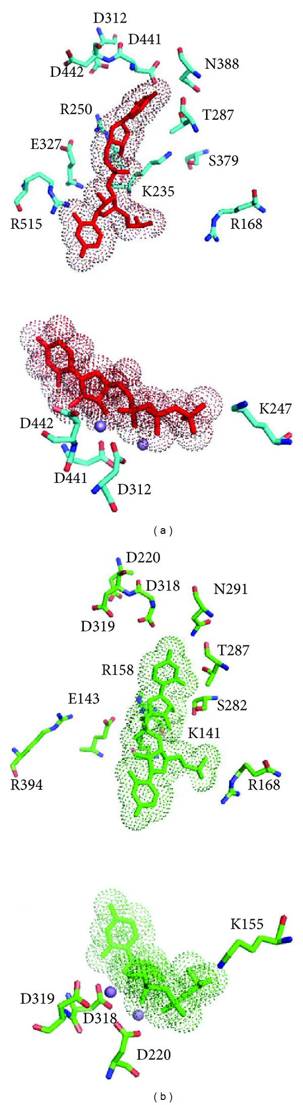 Figure 5