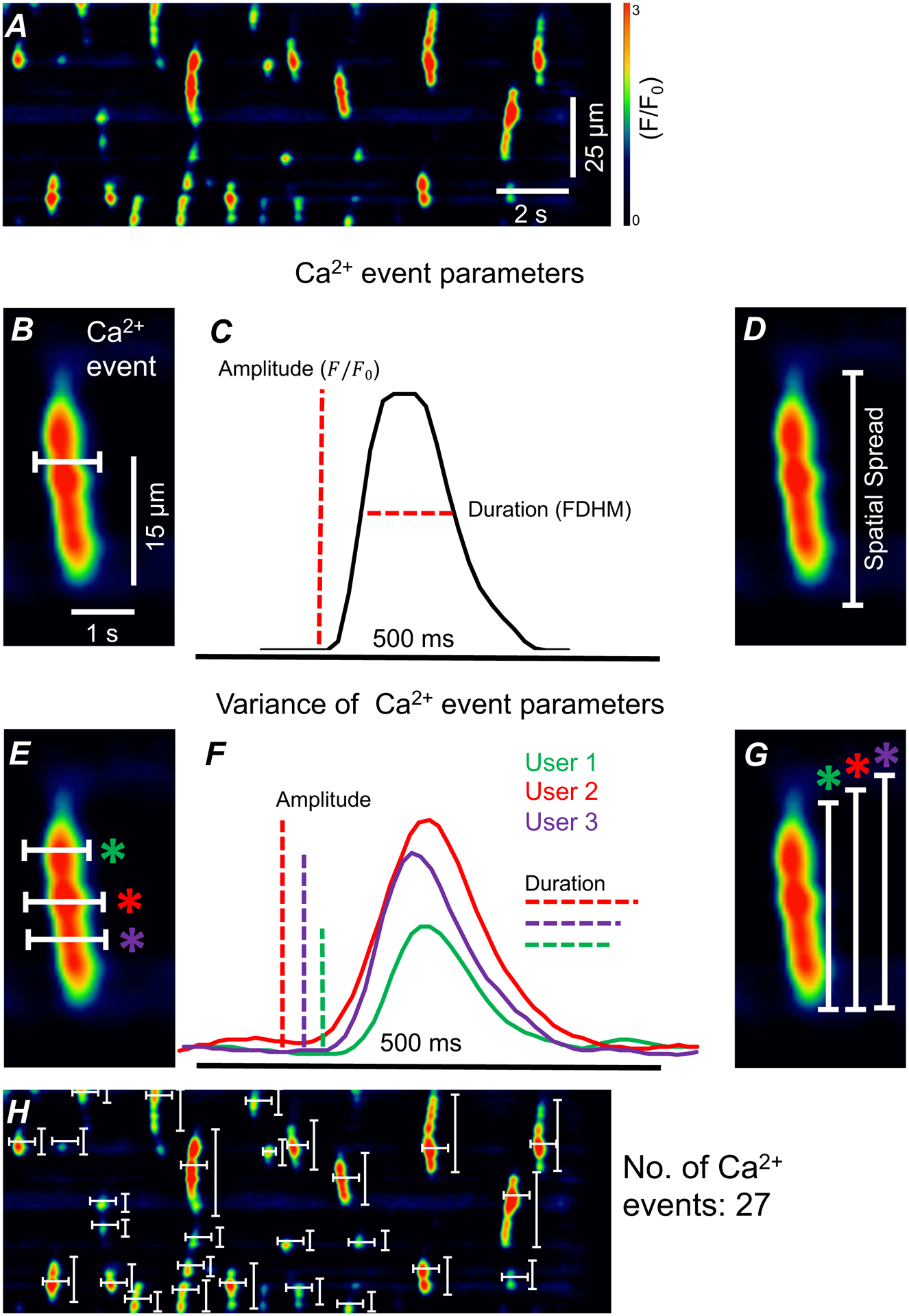 Figure 2: