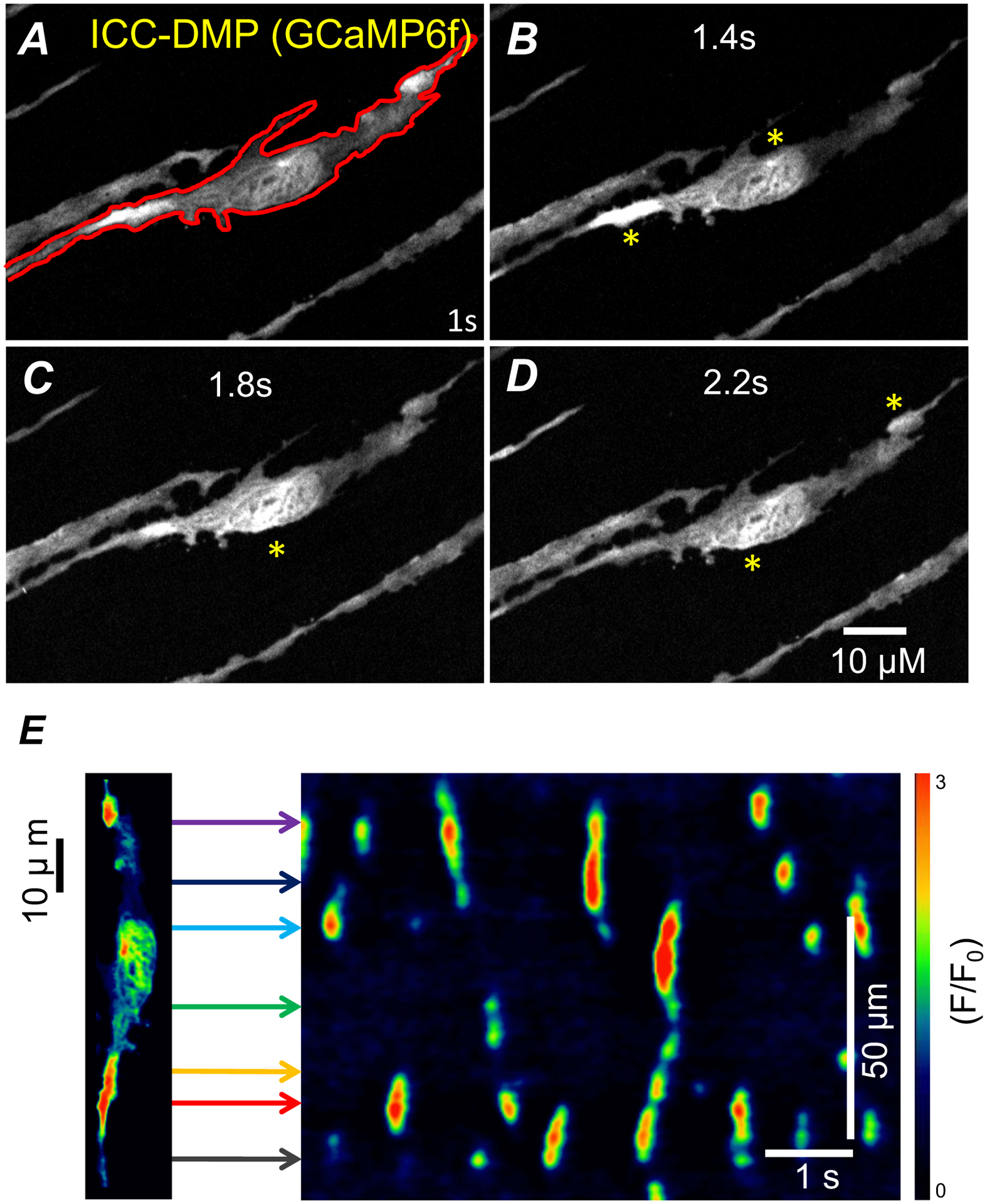 Figure 1: