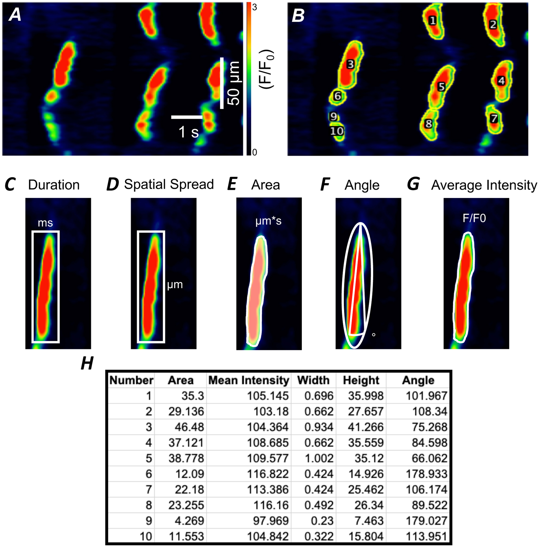 Figure 6: