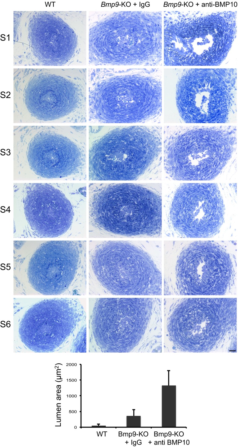 Fig. S2.