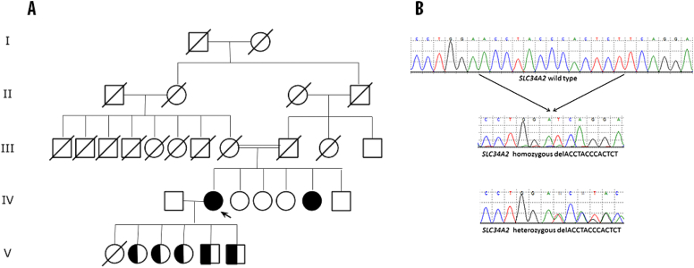 Fig. 2