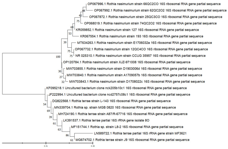 Figure 4