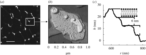 Figure 3.