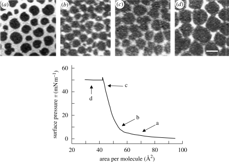 Figure 2.