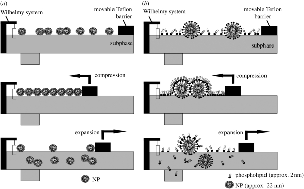 Figure 10.