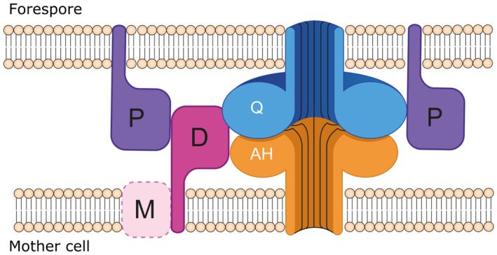 Figure 9