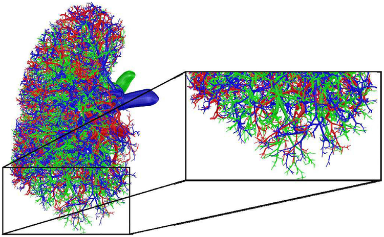 Fig. 7.