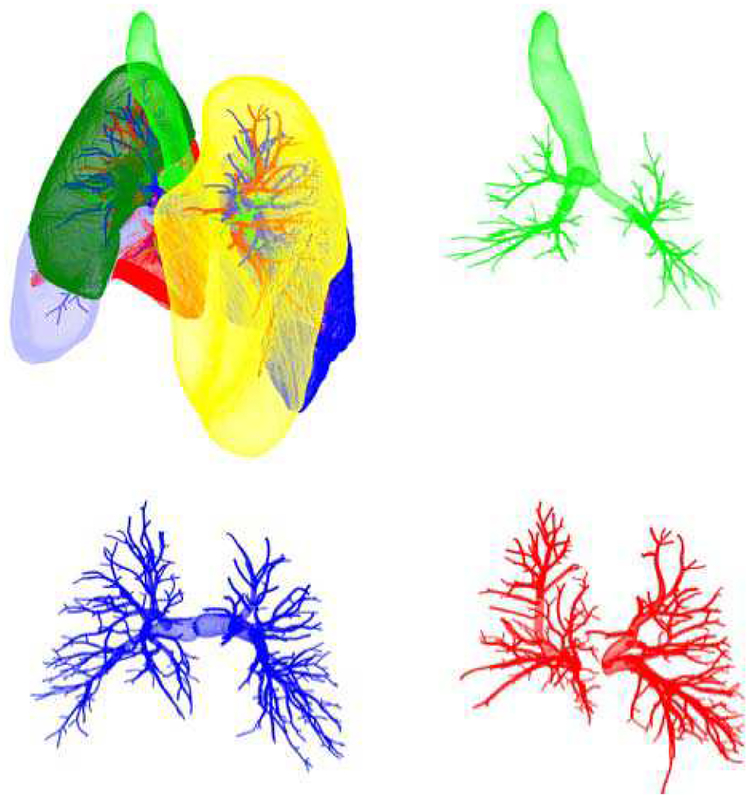 Fig. 5.