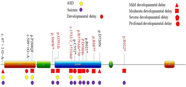 FIGURE 1