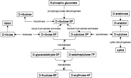 Figure  3