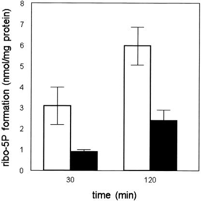 Figure  5