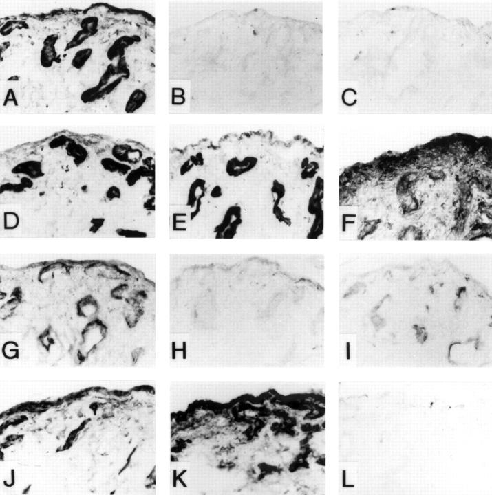 Figure 2  