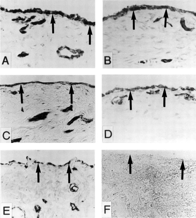 Figure 3  