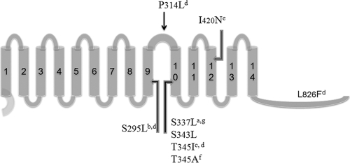 Fig. 4.