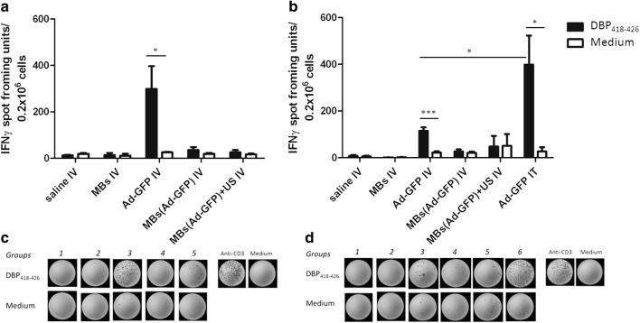 Fig. 7